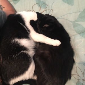 Meet your Posher, Nina